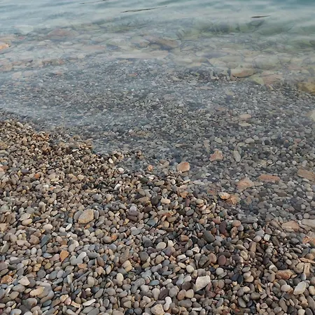 Ana * Neum