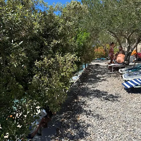 Privatunterkunft Ana Neum